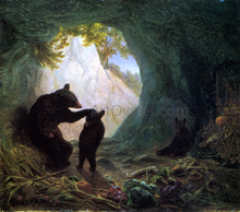 Bears Paintings